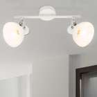 54657-2-2LED.jpg