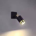SL-1069-8.jpg