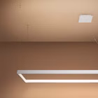 TH-165-8.jpg