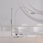 109506-TZ.jpg