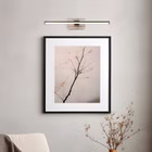 145036-2.jpg