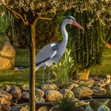 Reiger, weerbestendig, zwart, wit, grijs, H 70,5cm
