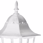 147257-33.jpg