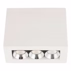 88107-4.jpg