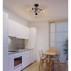 62050308-2.jpg