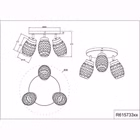 R61573380-3.jpg