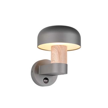 Applique murale, aluminium, couleur bois anthracite, IP54, H 24,5 cm