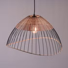 133587-4.jpg