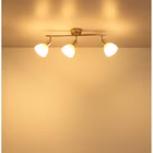 81490301-7.jpg