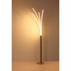 152771-7.jpeg