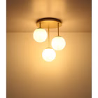 153008-4.jpeg