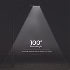 154148-9.jpg