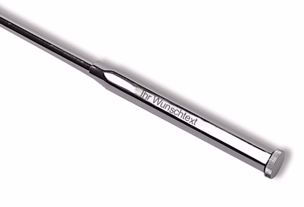 Reflexhammer Buck mit Nervnadel und Pinsel Mit Gravur