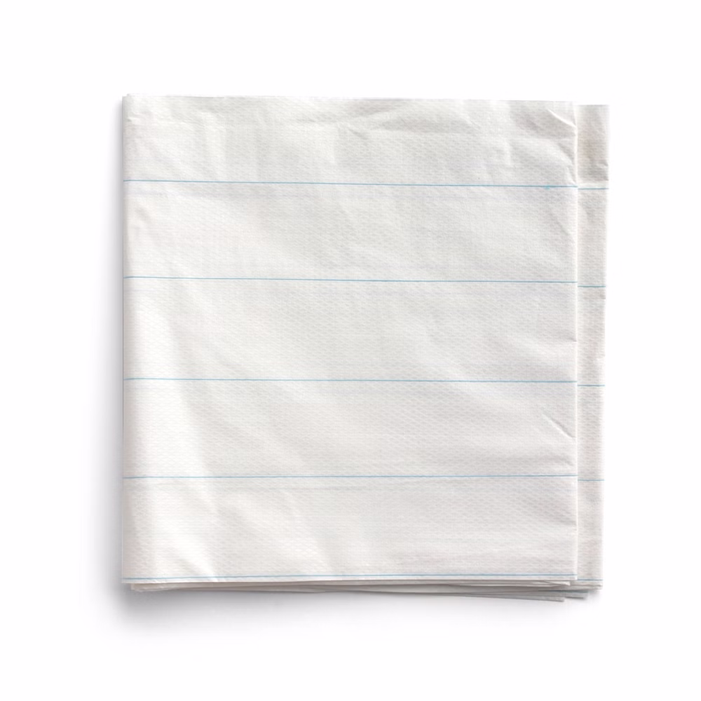 Papier-Einmallaken 100cm x 200cm Tragelaken Einweg-Laken (25 Stück)