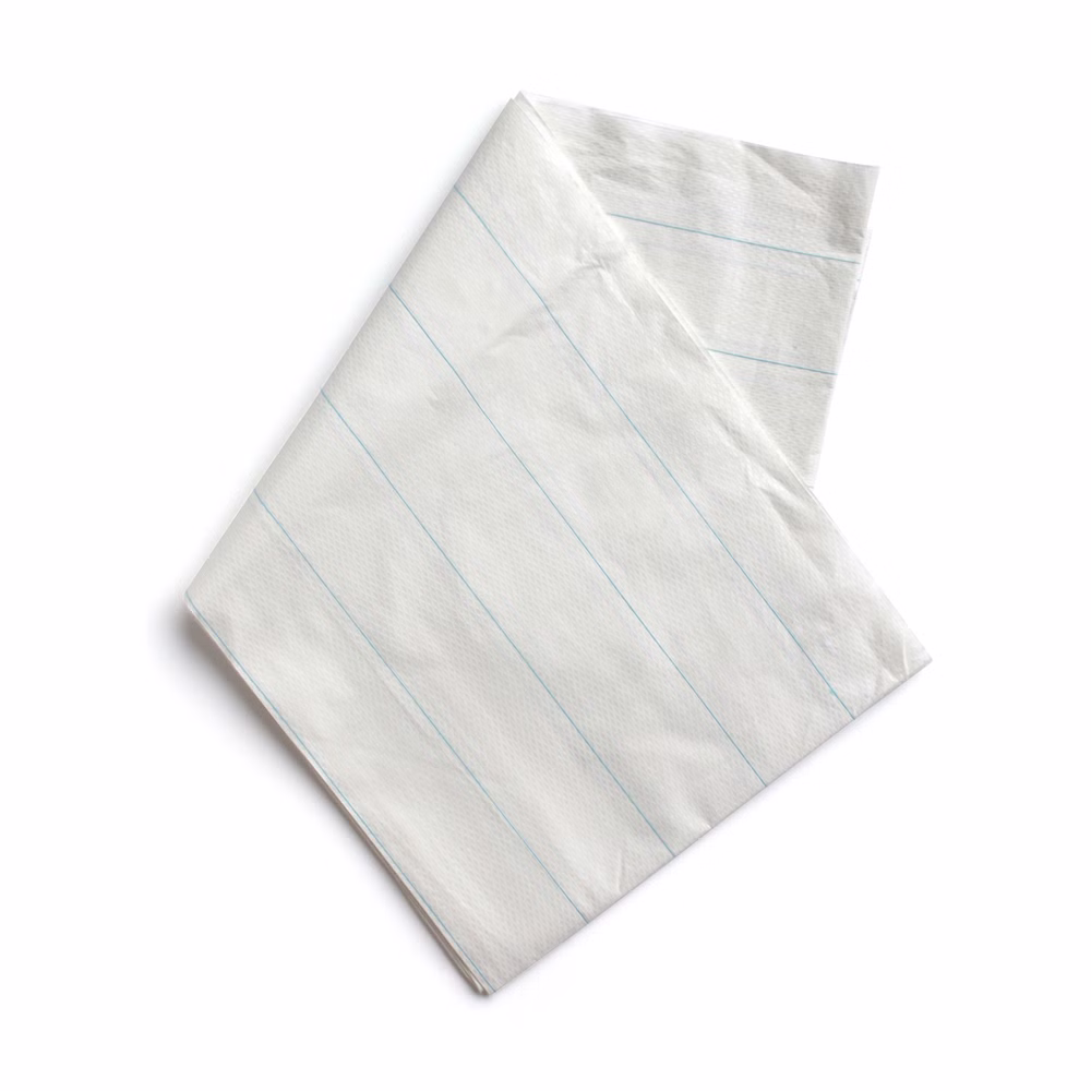 Papier-Einmallaken 100cm x 200cm Tragelaken Einweg-Laken (25 Stück)