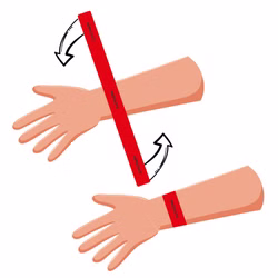 LESS Sichtungsbänder in Triagemappe