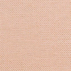 Micaplast Rollenpflaster extra breit 5cm x 5m mit Schutzring