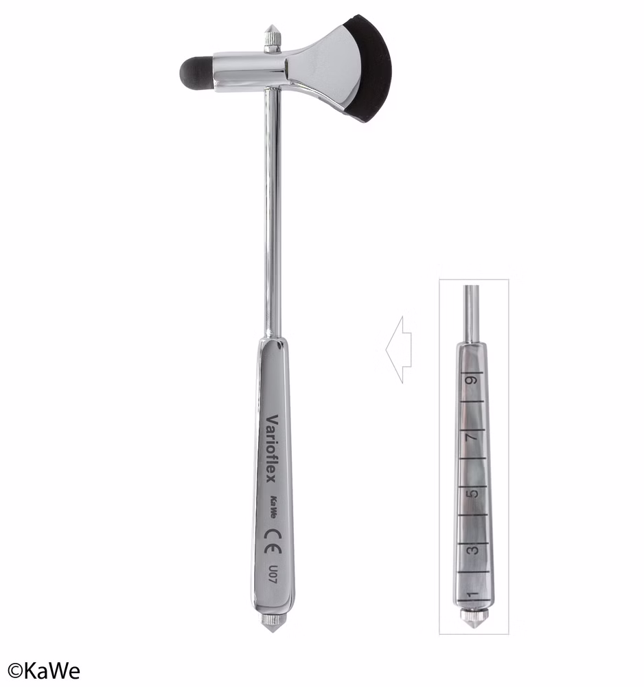 KaWe Reflexhammer Varioflex mit Nadel und Pinsel