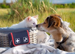 Holthaus Pet Care Verbandtasche für die Versorgung von Tieren