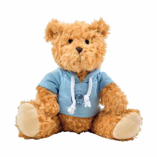Teddybär mit 
