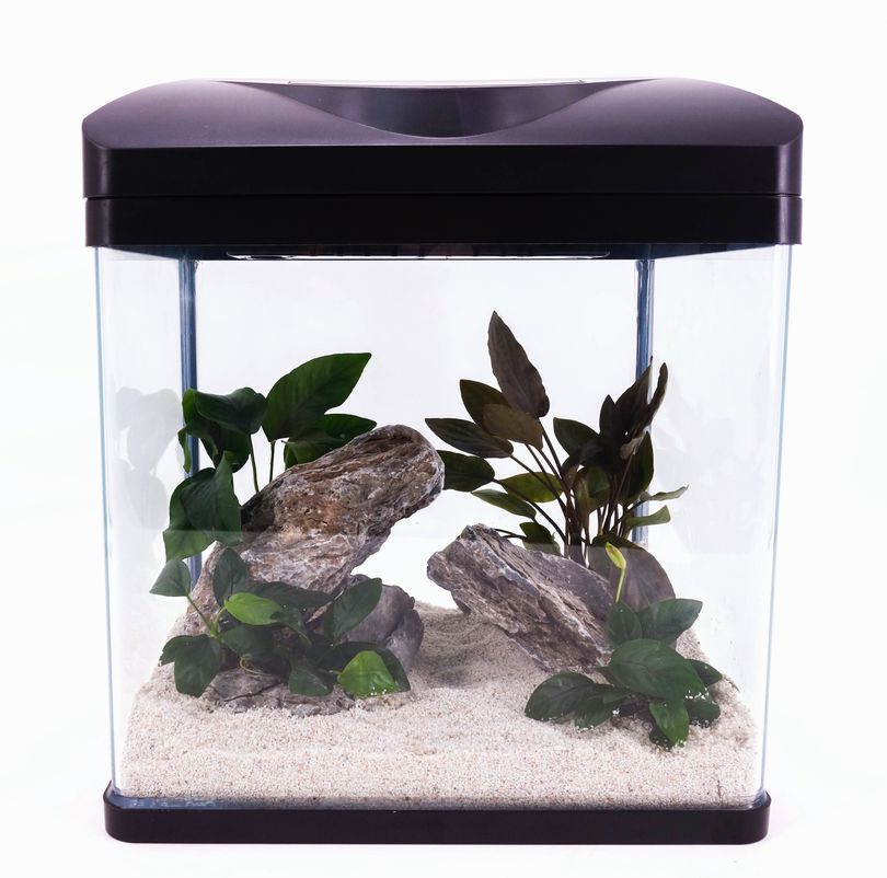 Nano Aquarium Laguna in schwarz Komplettaquarium +LED Beleuchtung +Filteranlage