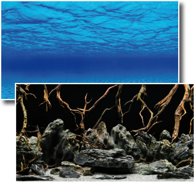 Fotorückwand Mystic beidseitig bedruckt 120x60cm 2in1 Rückwandposter