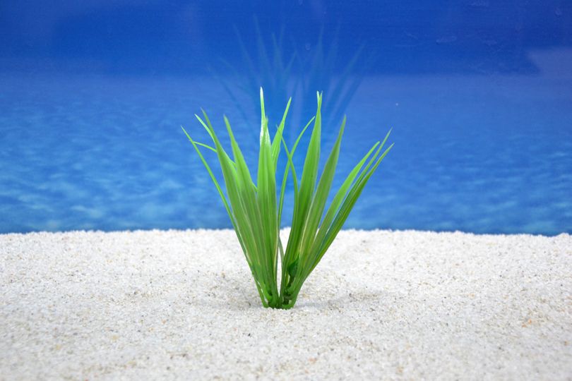 Amtra Bamboo S 12cm – Künstliche Bambus-Pflanze für Aquarien-Dekoration