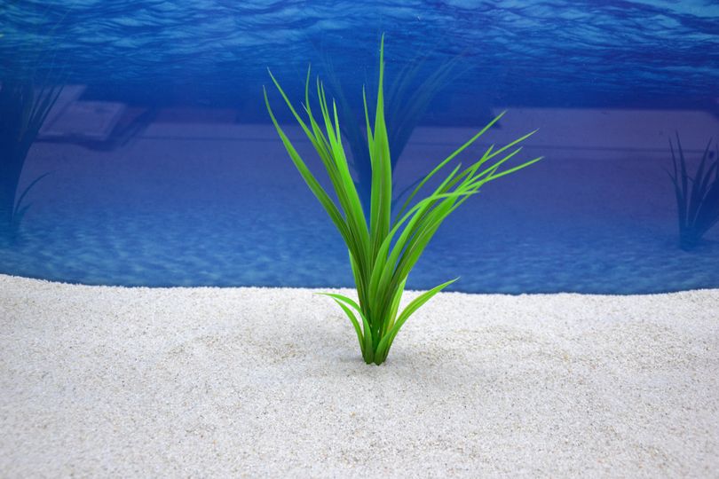 Amtra Bamboo M 23cm – Künstliche Pflanze für Aquarien-Dekoration