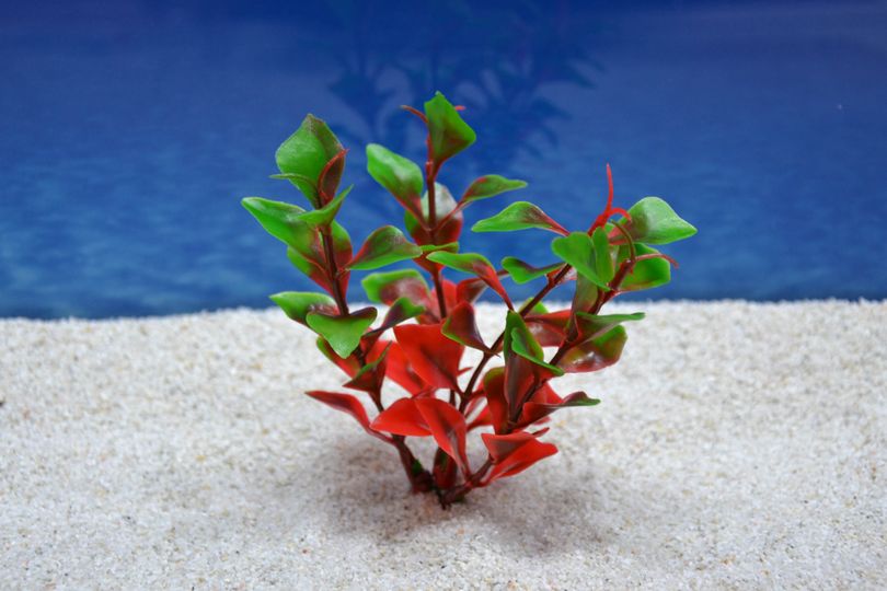 Amtra Ludwigia S 12 cm – Künstliche Pflanzendeko Aquarium