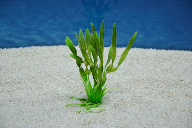 Amtra Valisneria S 10 cm – Künstliche Pflanze Aquarium