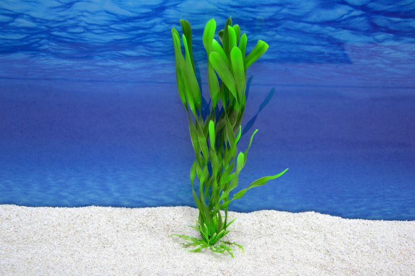 Amtra Valisneria L 26 cm – Künstliche Pflanze Aquarium