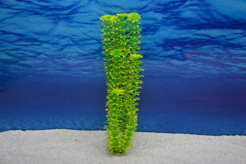 Amtra Cabomba XL 36cm – Künstliche Pflanze für Aquarien-Dekoration