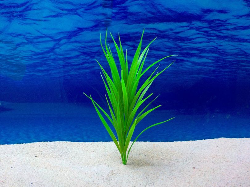 Amtra Bamboo L 17cm – Künstliche Pflanze für Aquarium-Dekoration