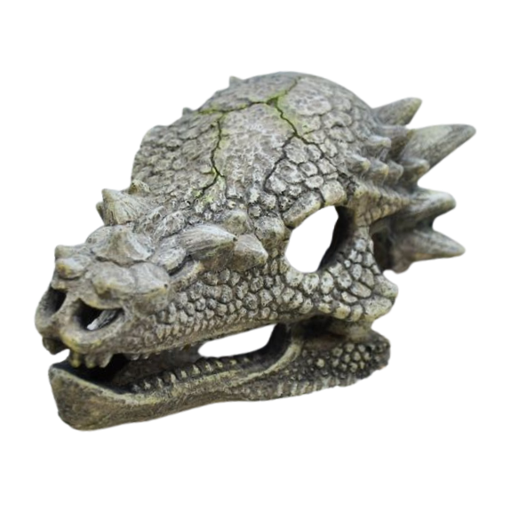 Amtra Drachen-Schädel – Außergewöhnliche Aquarium-Deko