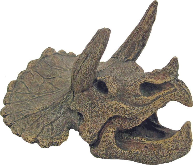 Amtra Triceratops Schädel – Aquarium-Dekoration