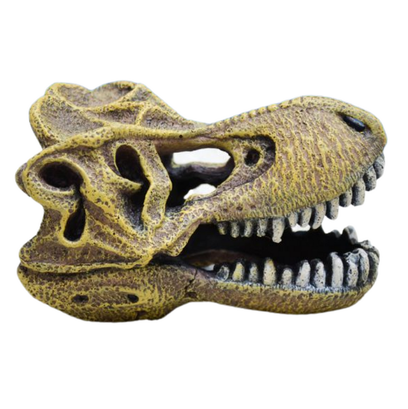 Amtra Tyrannosaurus Schädel – Aquarium-Deko