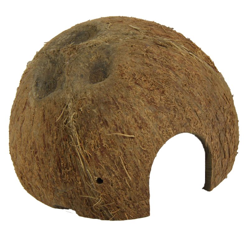 JBL Cocos Cava Größe M 1/2 Kokosnuss-Schale als Höhle für Aquarien und Terrarien