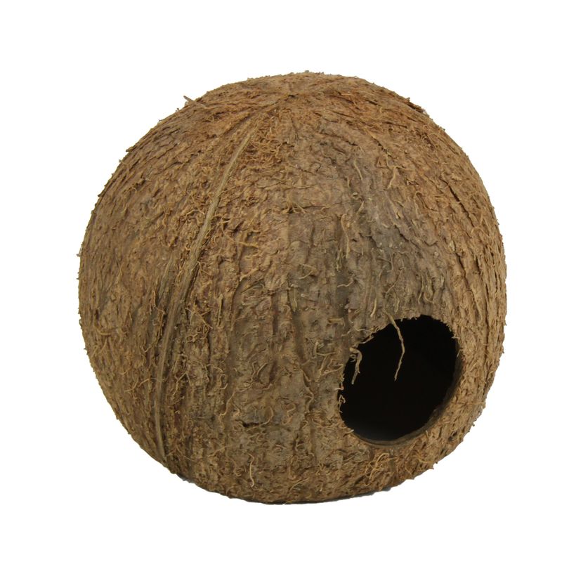 JBL Cocos Cava Größe L 3/4 Kokosnuss-Schale als Höhle für Aquarien und Terrarien