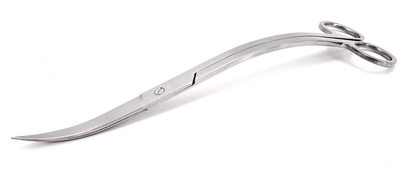 Wellenschere 24cm für die Pflanzenpflege in Aquarien SC01