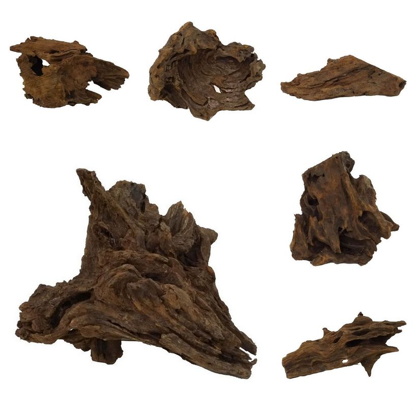 M Mangrovenwurzel 2 Stück 20-40 cm Holz Deko Aquascaping