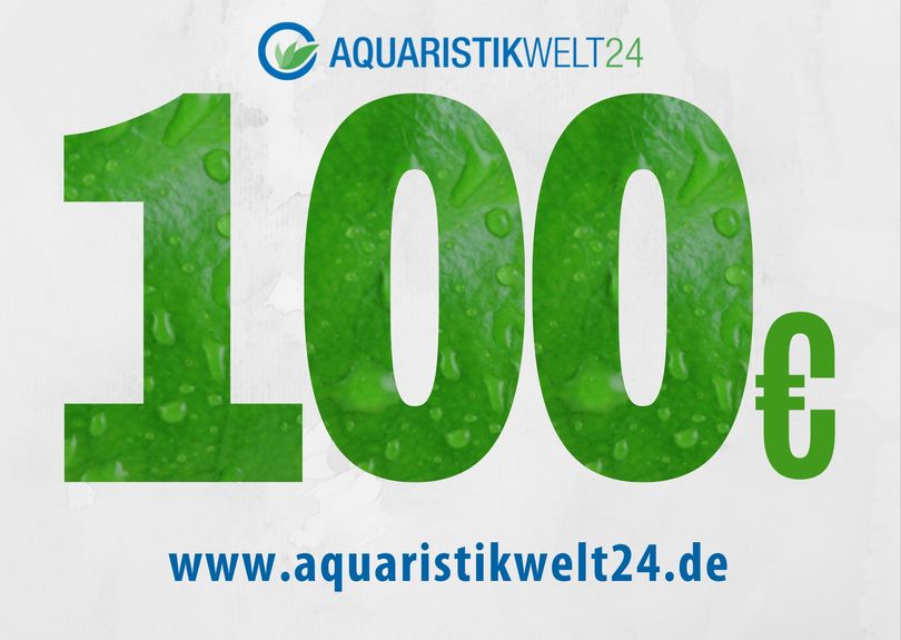 Gutschein 100€