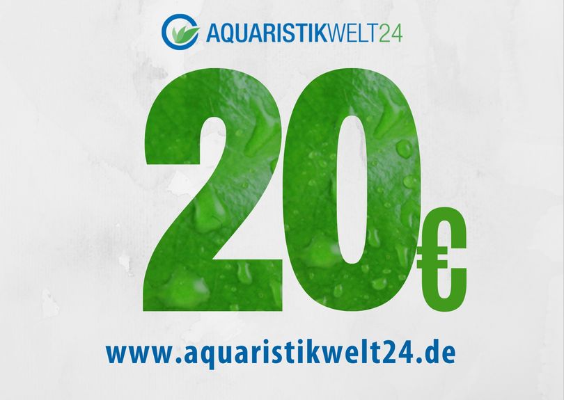 Gutschein 20€