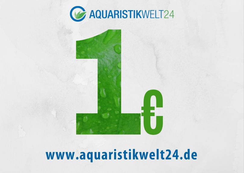Gutschein freier Betrag