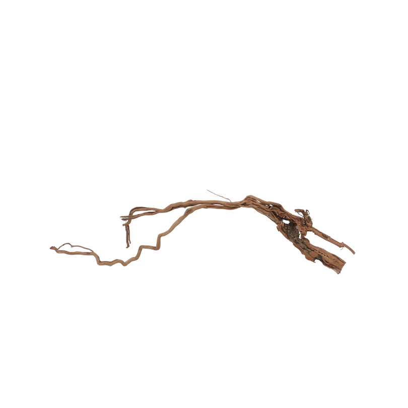 XL Drachen Wurzel Nr.7095 Holz Deko Aquascaping