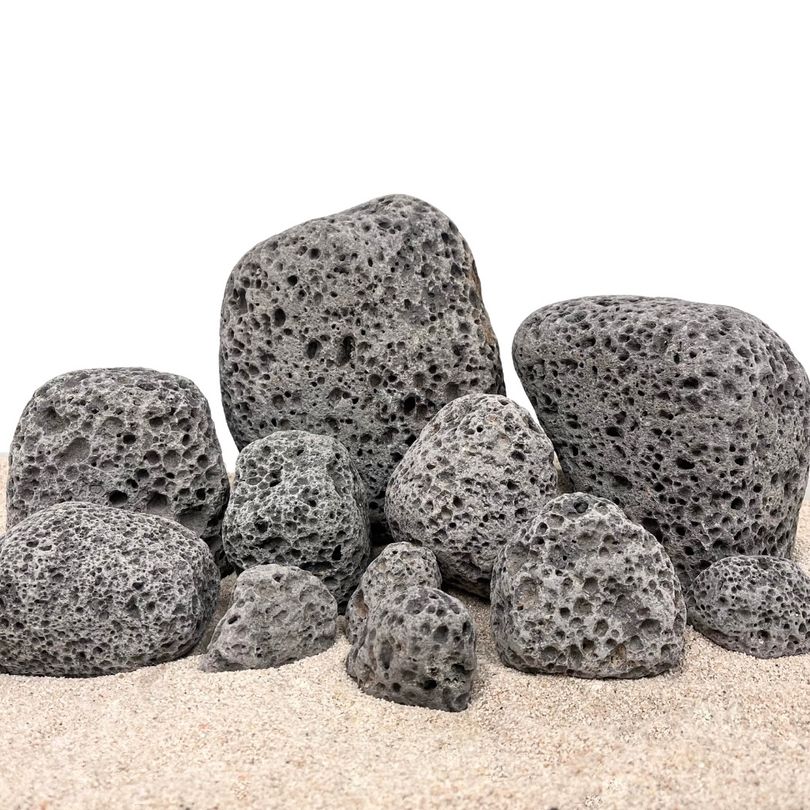 Aquarium Natursteine Black Lava Pebbles Steine 1 Stück Gr.L 10-13cm Nr.58