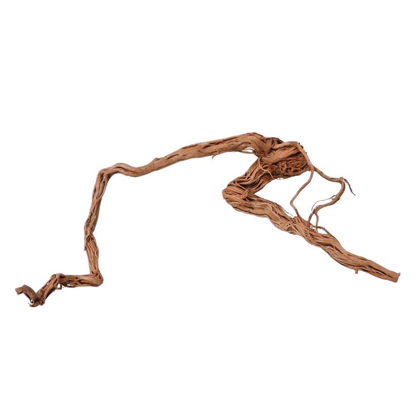 XL Drachen Wurzel Nr.8086 Holz Deko Aquascaping