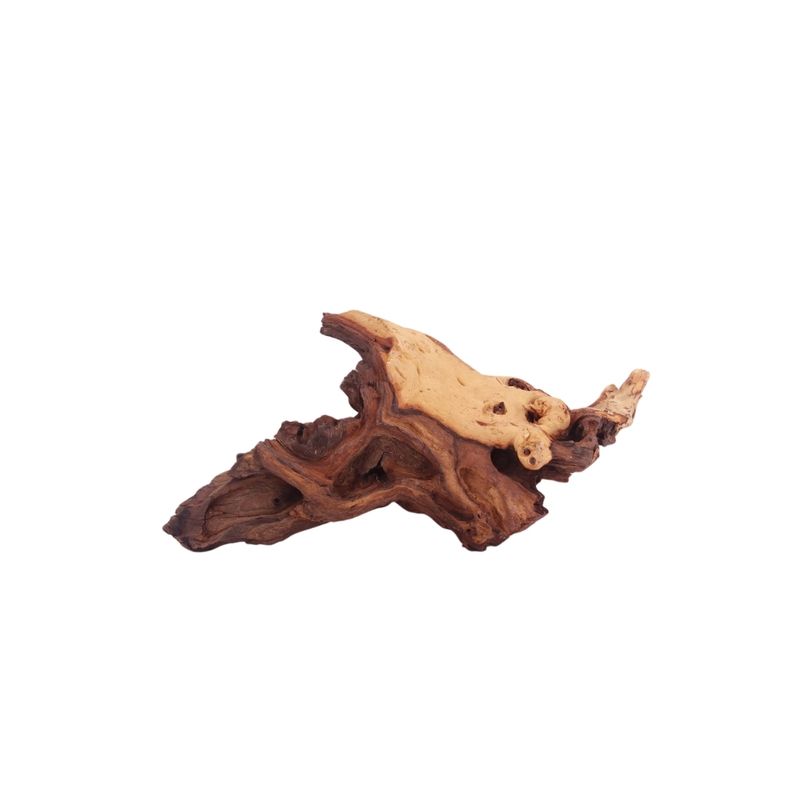 XL Mopani Wurzel Nr.9384 Holz Deko Aquascaping