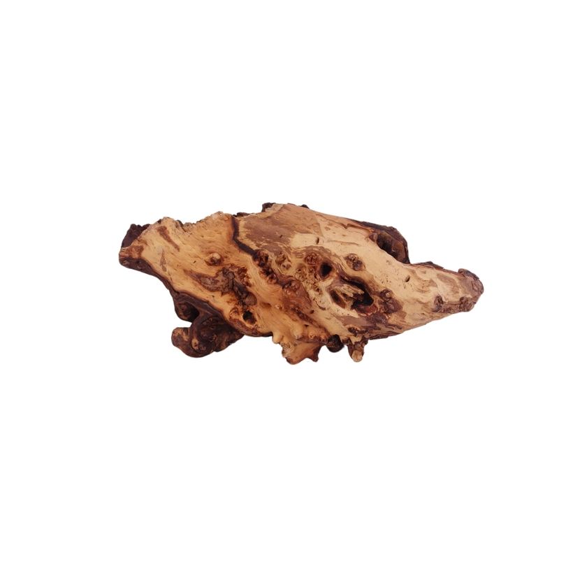XL Mopani Wurzel Nr.9394 Holz Deko Aquascaping