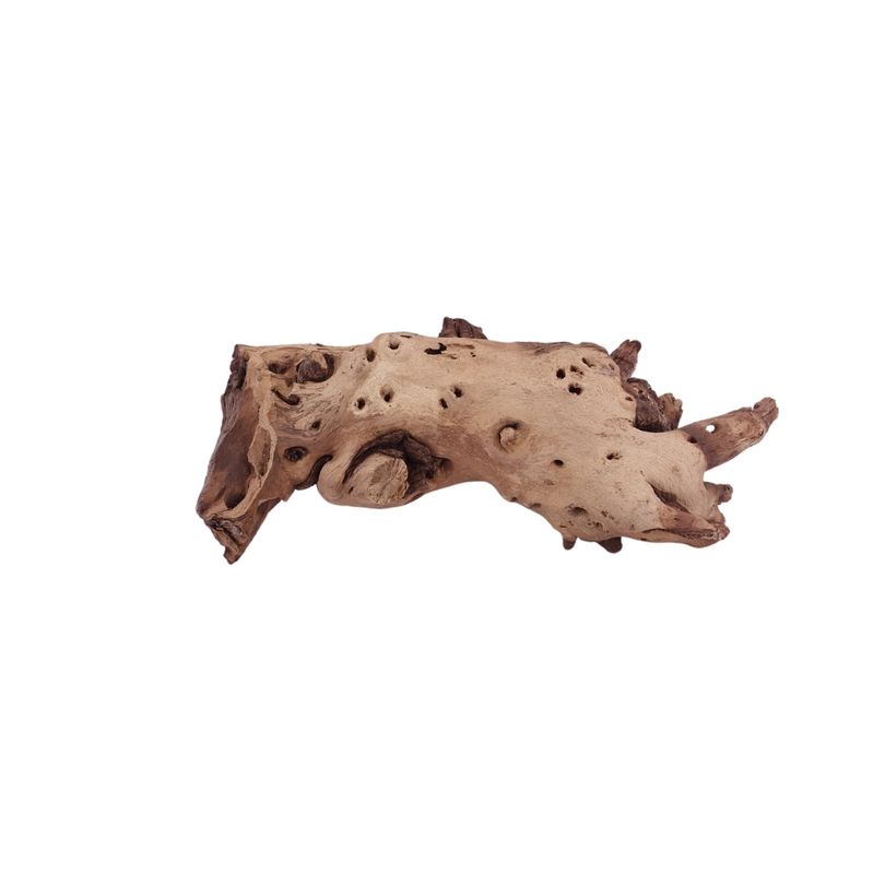 L Mopani Wurzel Nr.1207 Holz Deko Aquascaping