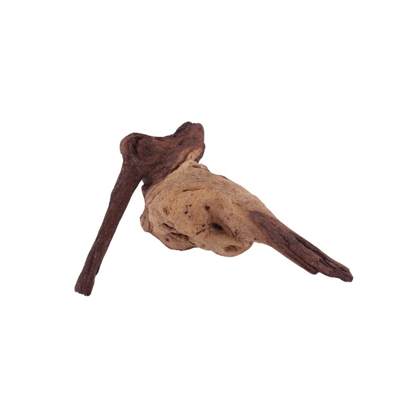 L Mopani Wurzel Nr.1236 Holz Deko Aquascaping